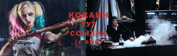 гашик Верея