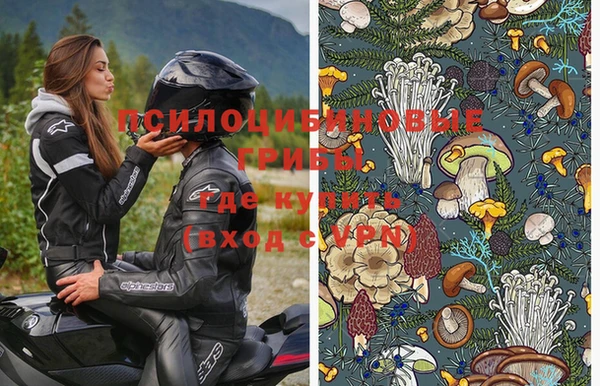 гашик Верея